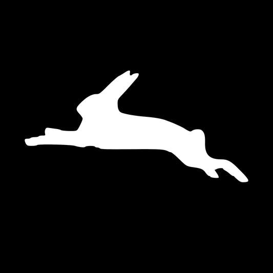 Hare Decal, Sticker, Rabbit