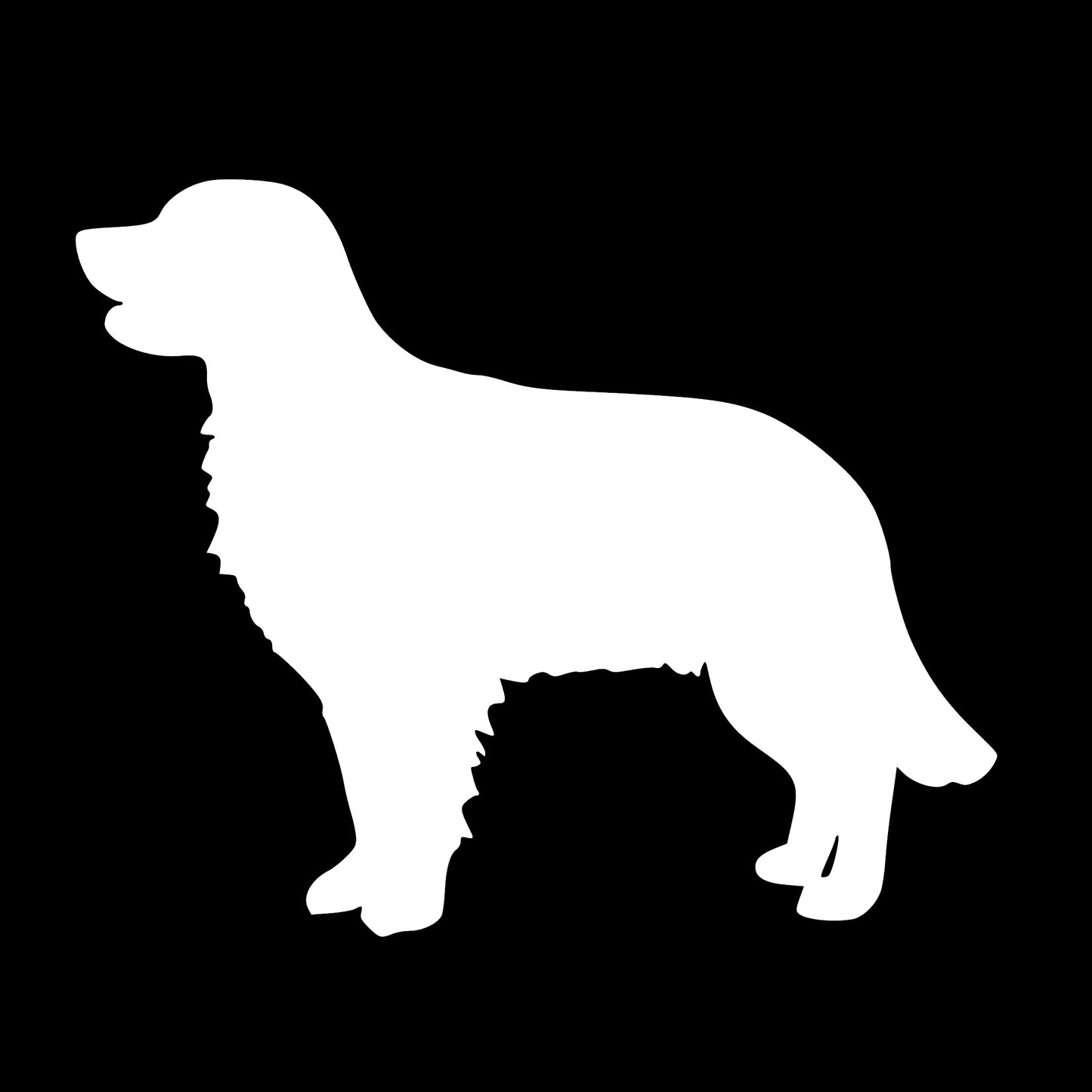 Golden Retriever, sticker Decal