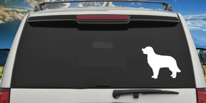 Golden Retriever, sticker Decal